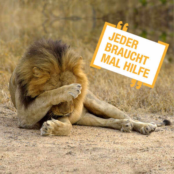 mo_r09
