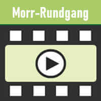 YouTube-Video: Ein Morr-Rundgang auf dem Segel-Kreuzfahrtschiff der Sea Cloud Spirit.