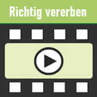 YouTube-Video: So geht ein gutes Testament